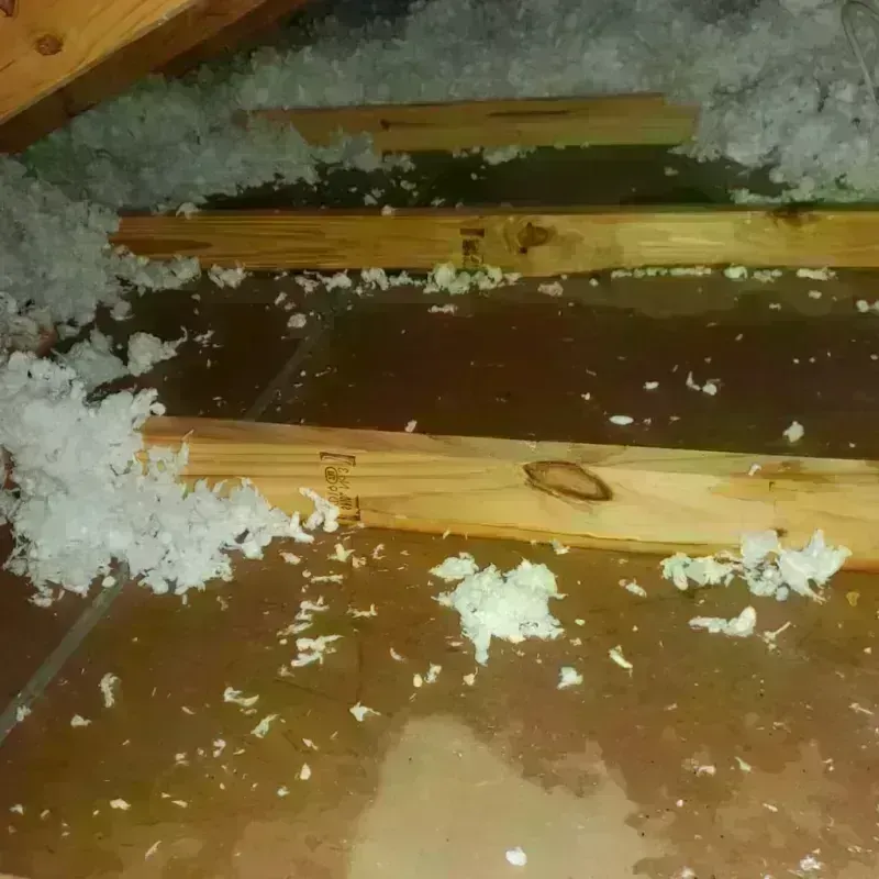 Attic Water Damage in Yolo County, CA